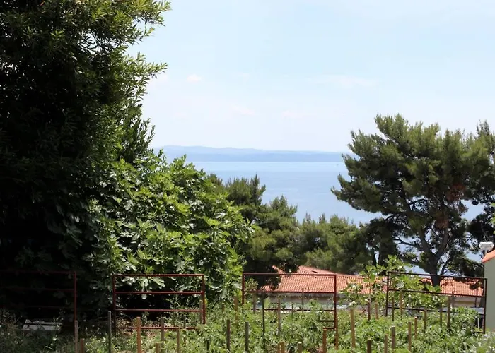 Apartman Buki ****